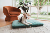 FuzzYard Life Lounge Mat - Myrtle Green